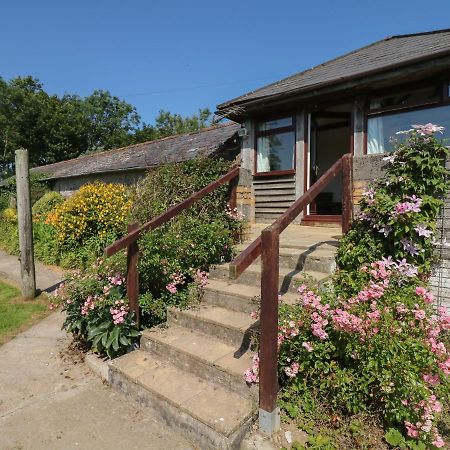 The Bushel Bideford Exterior foto